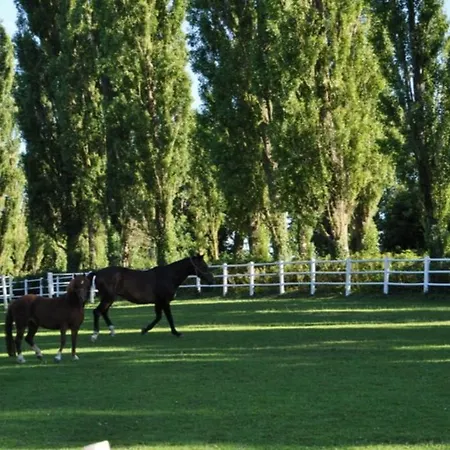 Meierei - Mit Pool & Tennisplatz, Nahe Ostsee Holiday home Harmsdorf