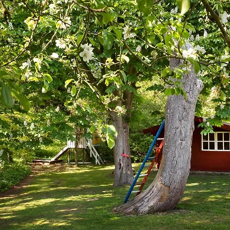 Meierei - Mit Pool & Tennisplatz, Nahe Ostsee بيت للعطل